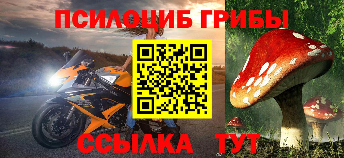 Псилоцибиновые грибы Cubensis  Псилоцибиновые грибы Cubensis  Владимир  Вход с VPN 